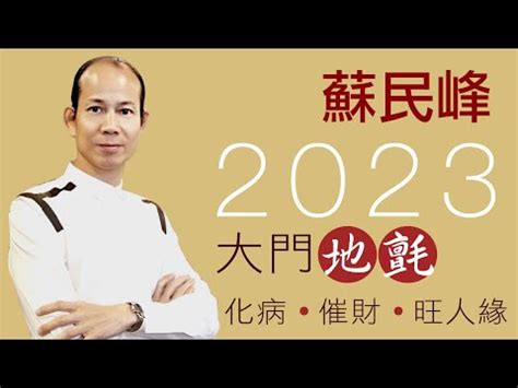 2023 大門地氈顏色|【大門地氈顏色 2023】快收藏！2023兔年招財好運就靠大門地氈。